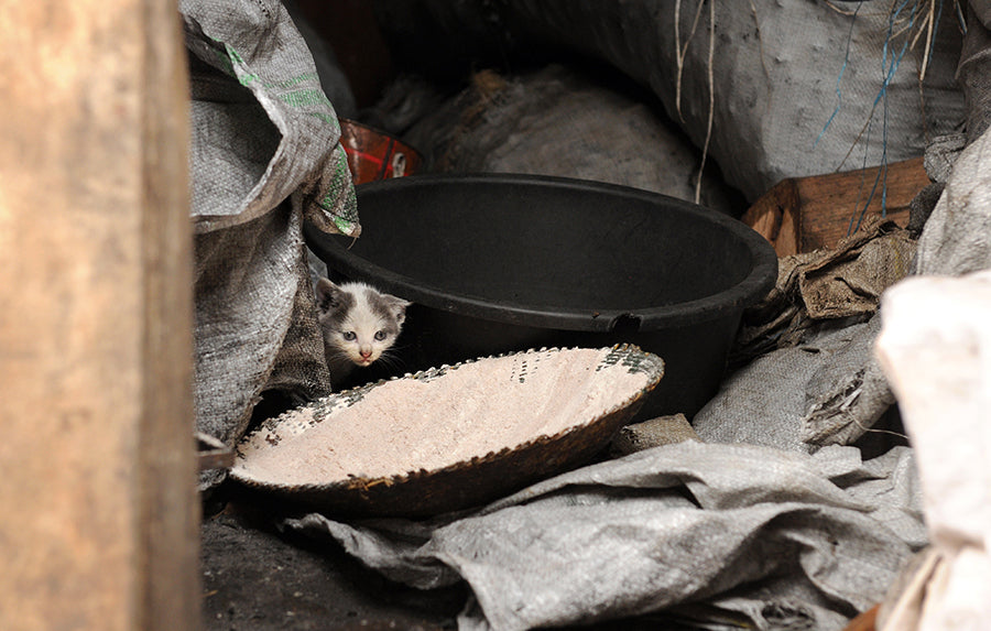 Photo Notecards - Capturing Hope in Uganda