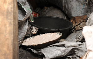 Photo Notecards - Capturing Hope in Uganda