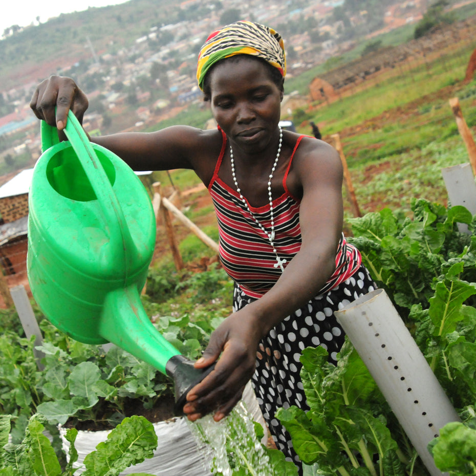 A Garden Plot for 1 Family.