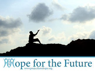 Magnet, Solar Cooking